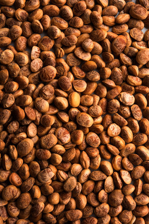 Indian charoli / charolya / Buchanania lanzan / Almondette kernel seeds in a bowl or pile. selective...