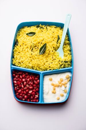 Lunch Box / Tiffin for Indian kids, contains lemon rice, nahi-boondi and pomegranate or Anar.の写真素材