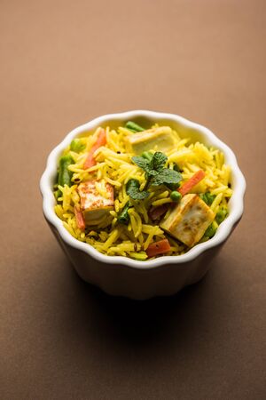 Vegetarian paneer biryani Or Panir Pulav, popular indian foodの写真素材