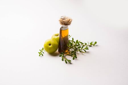 Brahmi Amla Ayurvedic Hair Oil with raw avla and Bramhi leavesの写真素材
