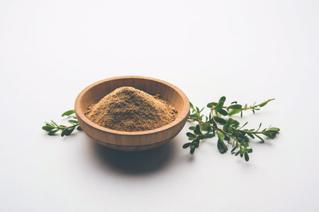 Bacopa monnieri herb plant or Ayurvedic  Brahmi plant with powder in a bowl, selective focus