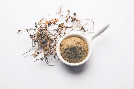 Organic Maha Bhringraj ayurvedic powderの写真素材