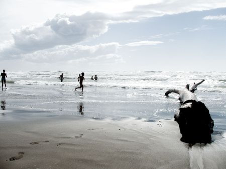 a perfect dayの写真素材