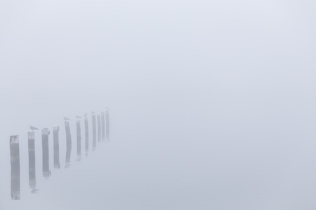 Foggy Baltic Sea near Barth.の写真素材