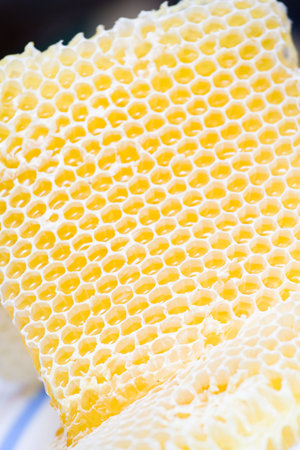 honeycomb macro detail