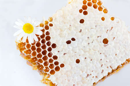 honeycomb and flowerの写真素材