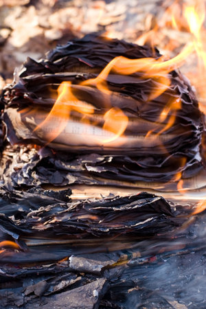 Flames and ashes of burnt documents