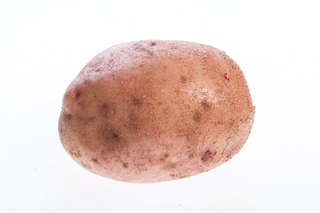 Red raw potato isolate on a white backgroundの写真素材