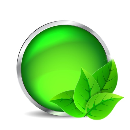 Green glass button with leaves on a white backgroundのイラスト素材