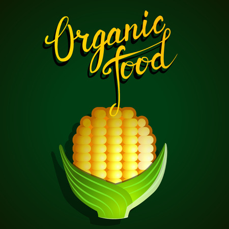 Original hand lettering Organic food. Handmade calligraphy and vegetable. Organic, bio, natural food design template. Logo maker.のイラスト素材