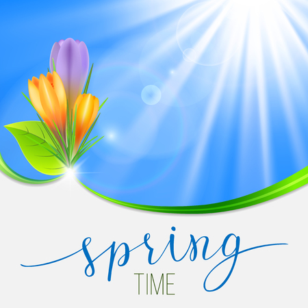 Spring greeting card with yellow and violet crocuses and original handwritten text Spring. Vector illustration for posters, greeting cards, print and web projects.のイラスト素材
