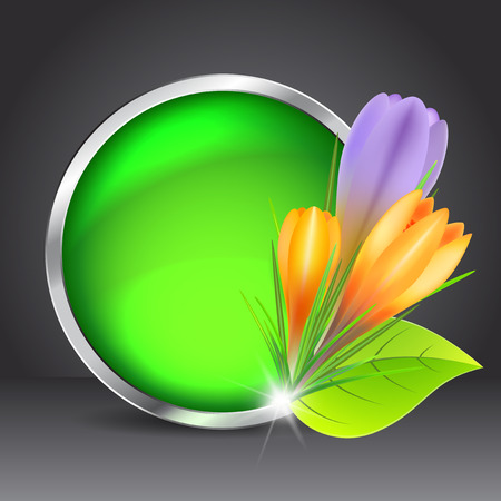 Spring greeting card with yellow and violet crocuses and original handwritten text Spring. Vector illustration for posters, greeting cards, print and web projects.のイラスト素材