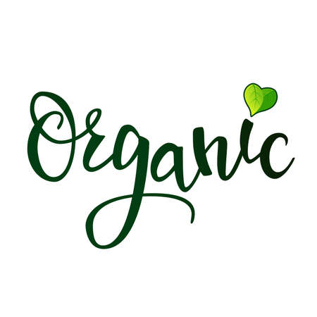 Original hand lettering Organic. Handmade calligraphy. Organic, bio, natural design template. Can be use for logo, poster, icon, print and web projects.のイラスト素材