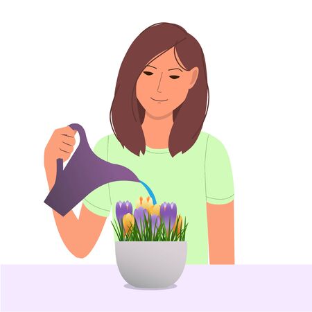 Girl caring for house plants. Young woman watering crocuses. Cartoon vector illustration in flat style.のイラスト素材