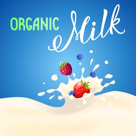 Strawberry, raspberry and blueberry falling and splashing in the milk product. Blue background. Cartoon style.  Handwritten text "Organic Milk" Vector illustration for  logo, poster, icon, label, print and web project.のイラスト素材