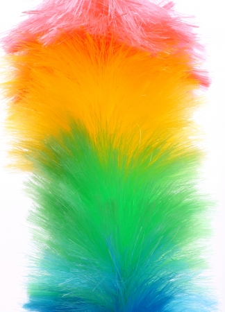 Soft colorful duster close-upの写真素材