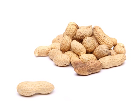 A handful of peanuts for a podの写真素材