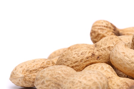 White background and peanuts rightの写真素材