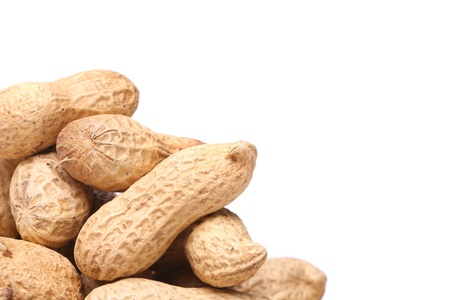 White background and peanuts leftの写真素材