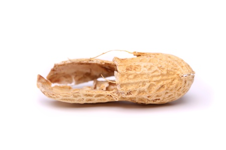 A peel of peanut close-up on the white backgroundの写真素材