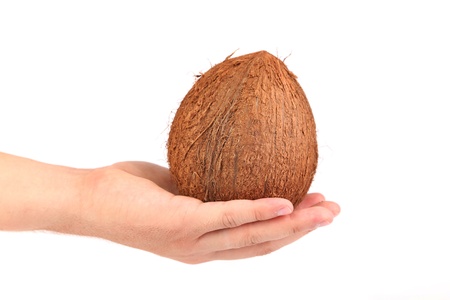 Coconut on hand isolated. White background. Close up.の写真素材