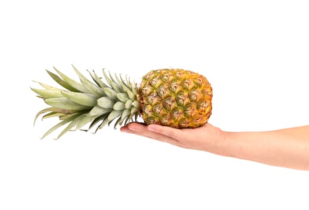 Fresh pineapple on a hand. White background.の写真素材