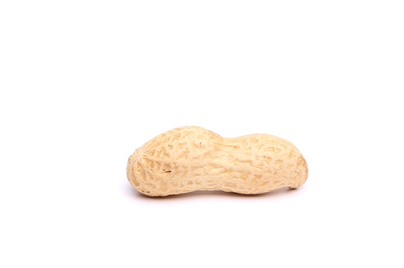 A light pod of peanuts on a white backgroundの写真素材