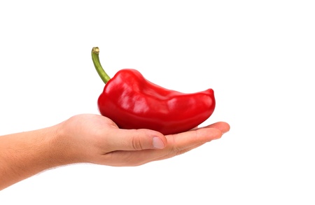 Hand holds red pepper on a white background.の写真素材