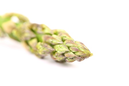 fresh asparagus spear isolated on a white backgroundの写真素材