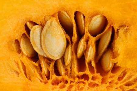 Close up of texture pumpkin. Whole background.の写真素材