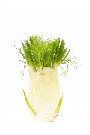 Fresh, organic fennel on a white backgroundの写真素材