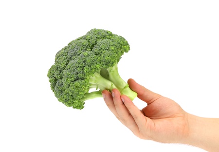 Hand holds fresh healthy brocoli isolated on a white background.の写真素材