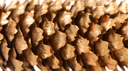 Background of golden large pine cone. Close up.の写真素材