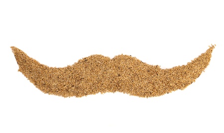 Retro moustaches of wheat grain. White background.の写真素材