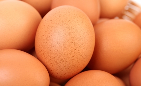 Top view of egg for web backgroundの写真素材