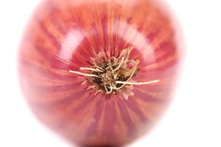 Red onion. Isolated on a white backgroundの写真素材