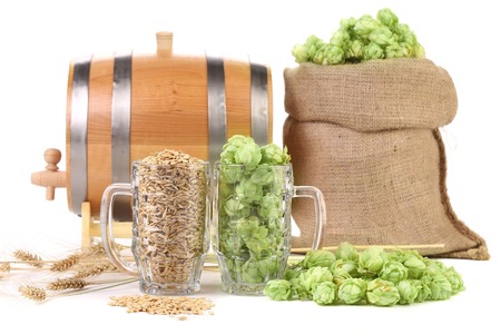 Two mugs with barley and hop. Isolated on a white background.の写真素材