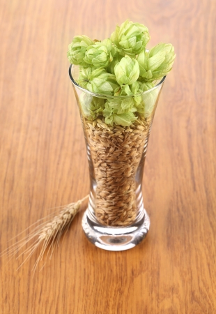 Closeup of glass with grains and hop. On a wooden table.の写真素材