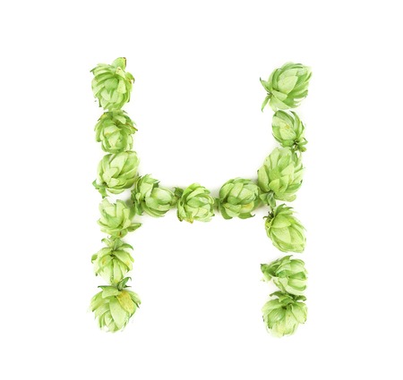 Hop flowers laid in form of letter H. Isolated on a white background.の写真素材