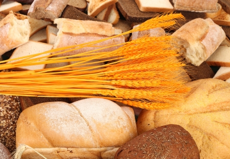 Composition of breads. Close up. Whole background.の写真素材