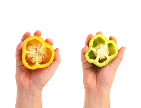 Hand hold two halfs of bell pepper on white backgroundの写真素材