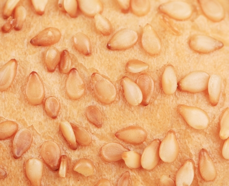 Bun with sesame seeds. Close up. Whole background.の写真素材