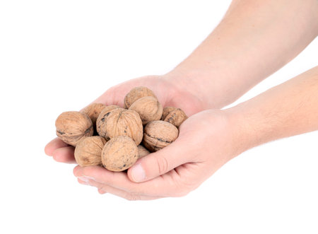 Bunch of walnuts in hands. Isolated on a white background.