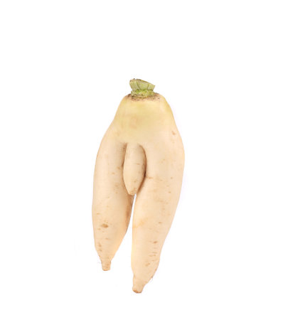 Sexy daikon radish. Isolated on a white background.の写真素材