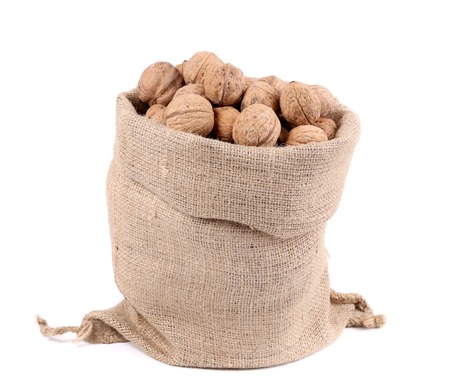 Sack full of walnuts. Close up. Isolated on a white background.の写真素材