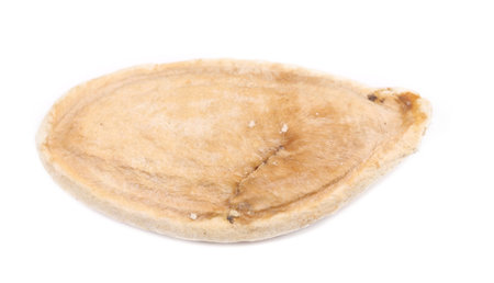 One dry pumpkin seed. Isolated on a white background.