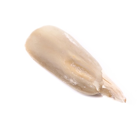 Sunflower Seed without bark. Isolated on white background.の写真素材