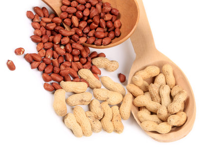 Peanuts in wooden spoons and on table. Whole background.