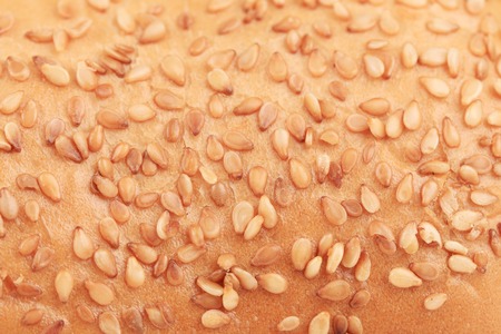 Bun with sesame seeds. Close up. Whole background.の写真素材