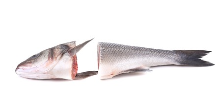 Seabass head and tail close up. Isolated on a white background.の写真素材